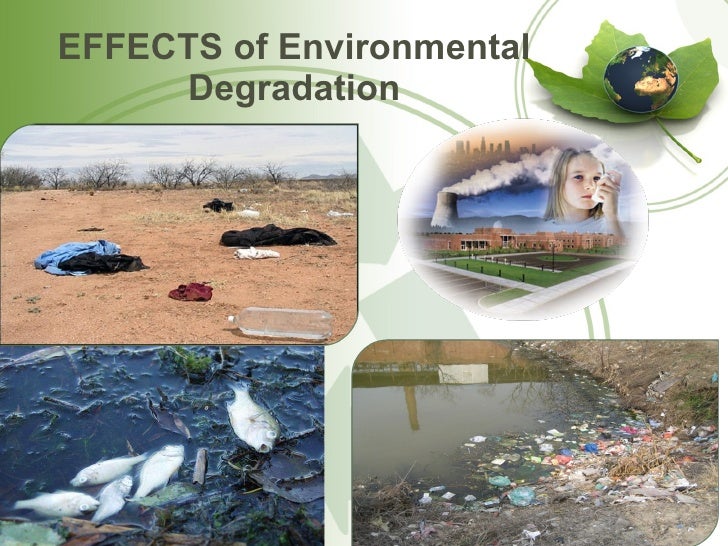 Essay On Environmental Degradation