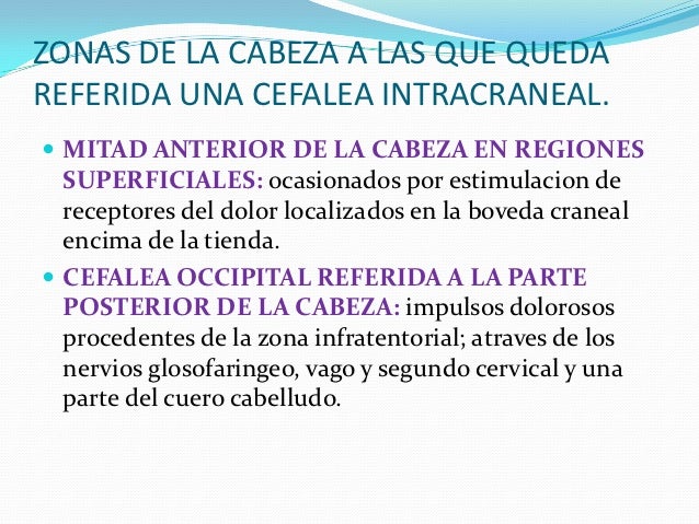 Sheynye los departamentos de los pájaros
