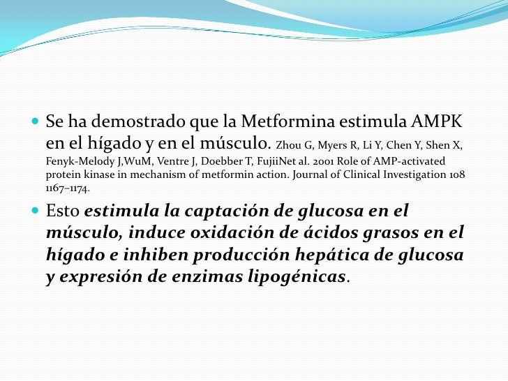 Mecanismos moleculares de la metformina Mecanismos moleculares de la metformina