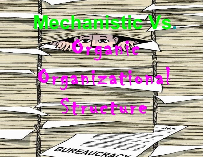 mechanistic vs organic A mechanistic organization is a company with a highly organized, rigid and bureaucratic structure it is epitomized by formal procedures, constant business activities and slow response to change. mechanistic vs organic A mechanistic organization is a company with a highly organized, rigid and bureaucratic structure it is epitomized by formal procedures, constant business activities and slow response to change.