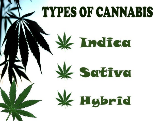 medical-cannabis-and-its-types-5-638.jpg?cb=1355869960