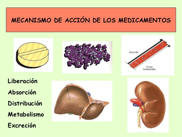 Como hacer que el espolón calcáneo desaparezca Como hacer que el espolón calcáneo desaparezca