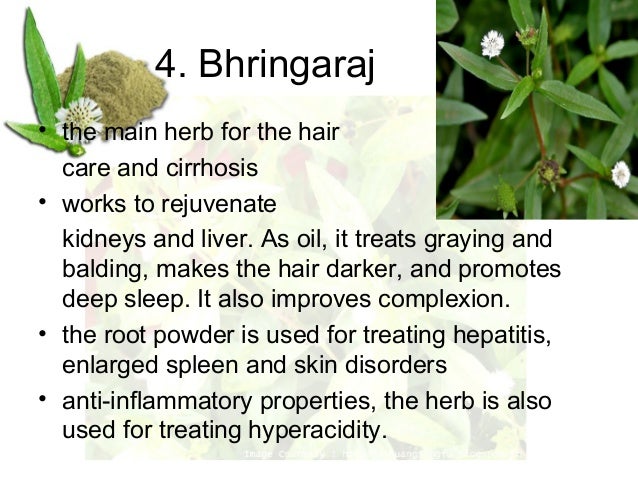 medicinal plants research papers plant tissue culture research papers the components of medicinal plants research papers plant tissue culture research papers the components of