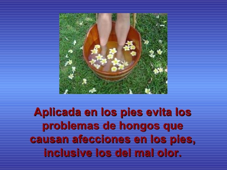 Los preparados para el tratamiento del hongo en los pies en las pastillas