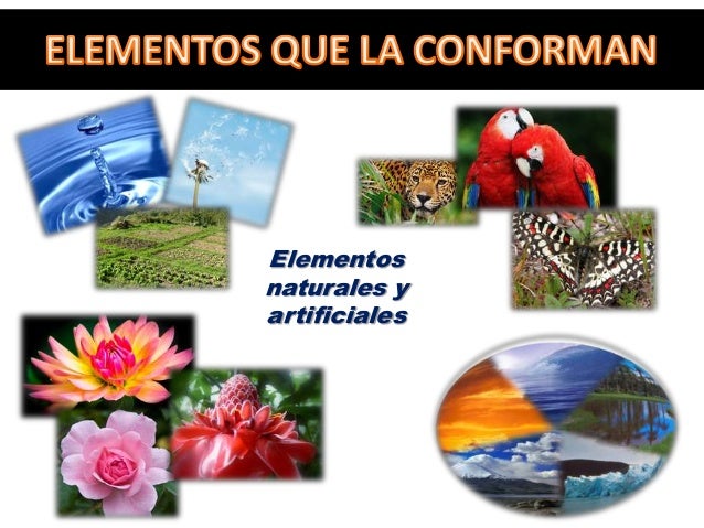 Resultado de imagen para elementos que conforman el medio ambiente