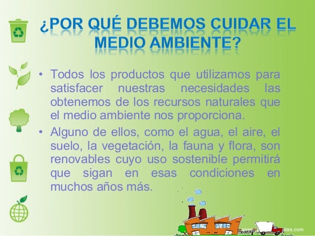 ¿Cómo cuidar el medio ambiente?
