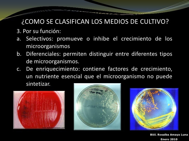 Medios De Cultivo