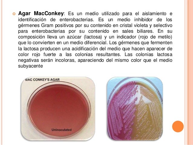 Medios de cultivo