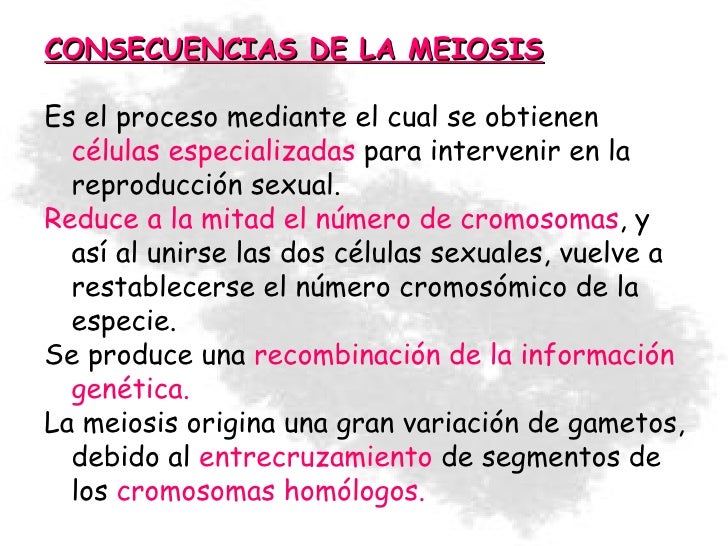 Meiosis