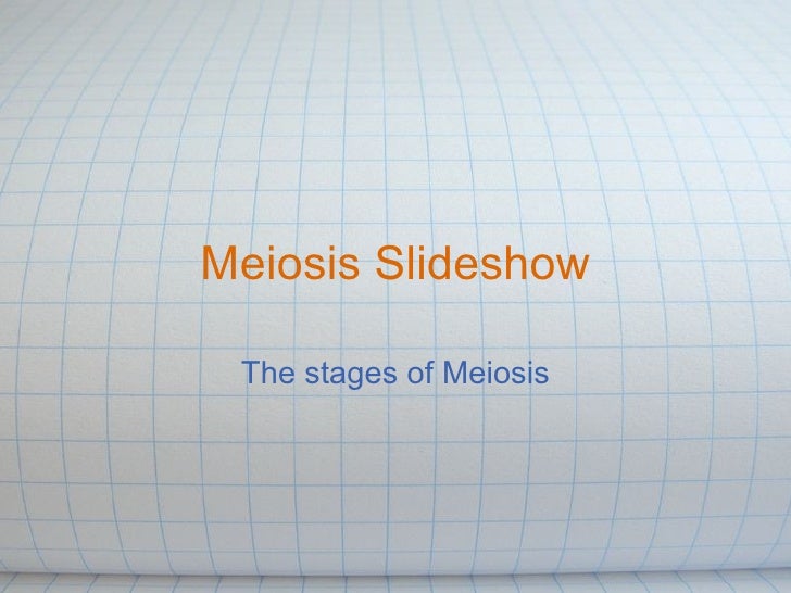 mitosis and meiosis flip book