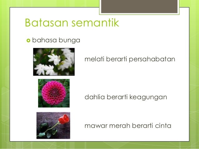 image.slidesharecdn.com/memahamidasar-dasarteorimaknasemantik-140121121425-phpapp02/95/memahami-dasardasar-teori-makna-semantik-15-638.jpg