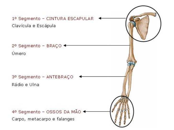 download il gene e la sua mente biologia ideologia e