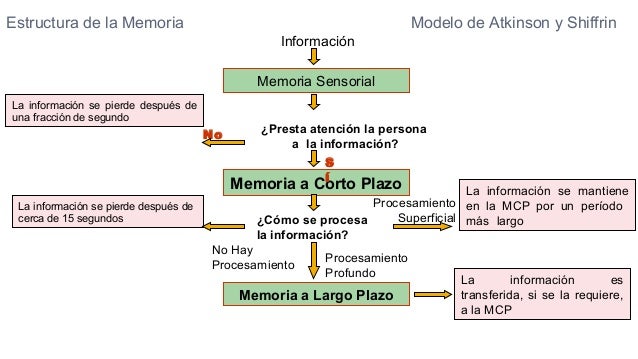 Memoria