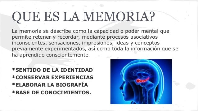 Memoria psicologia i