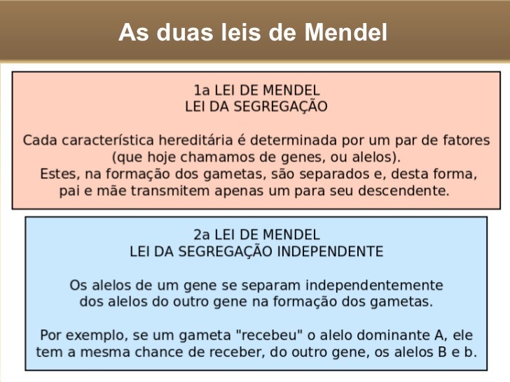 Relações entre alelos de um gene 
