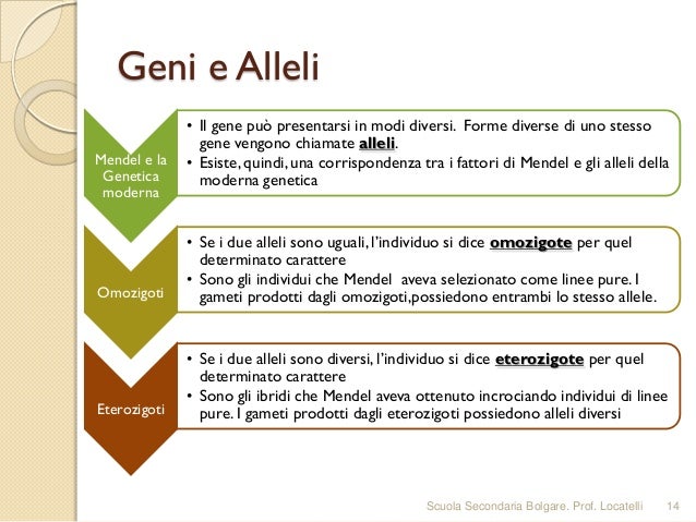 Insieme Di Alleli Che Determinano Un Carattere