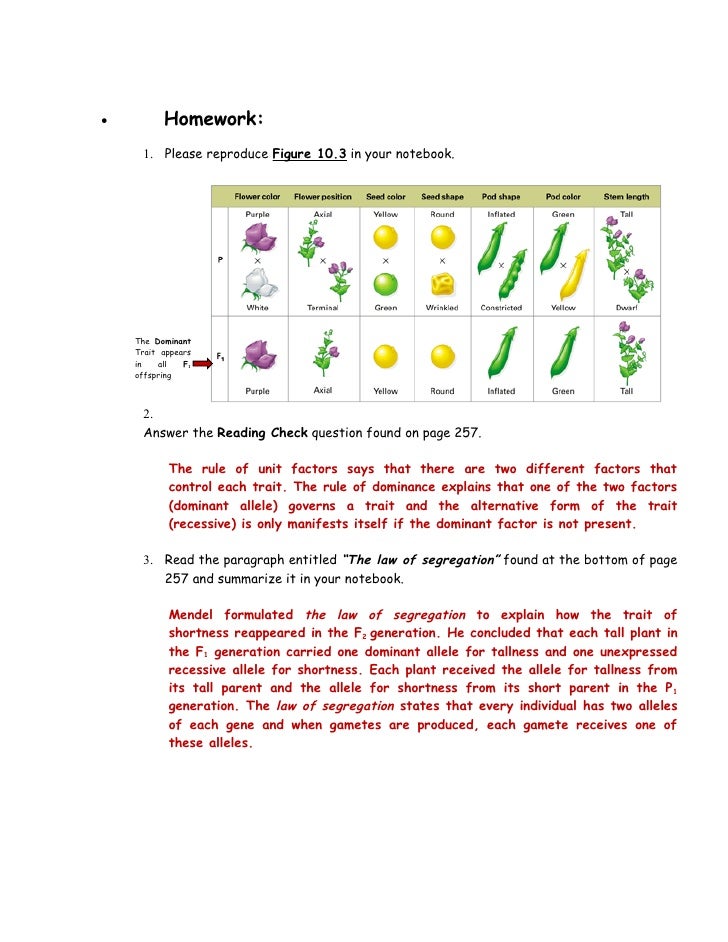 mendel-s-laws-of-heredity-part-2-pp-255-257-answer-key