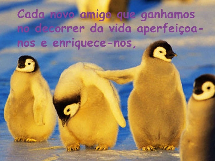 De sua nota amiga da rede social 2 6