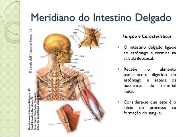 Tenho 37 anos em mim de um problema com uma potência