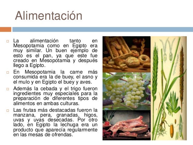 La Base De La Alimentación En Mesopotamia Y Egipto Fue
