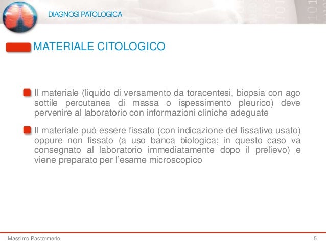 tesla model s wheel size coches lifan españa