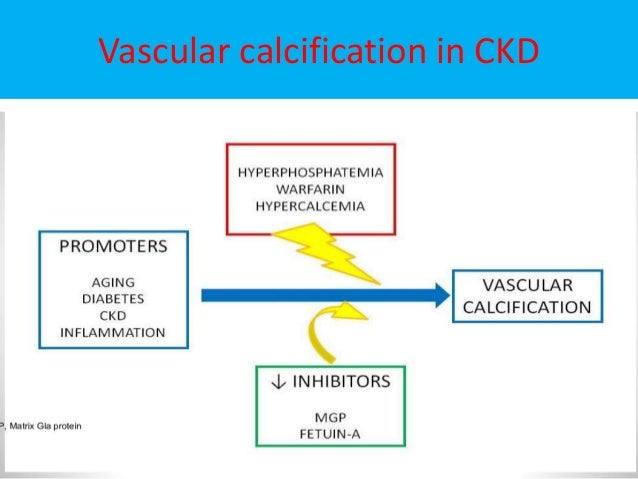 Kidney Dialysis Binders
