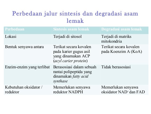 Metabolisme lipid1 2