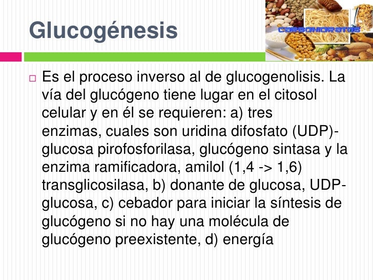 Importancia de la glucosa pdf