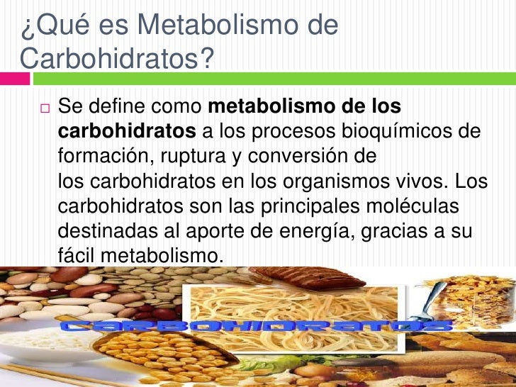 Metabolismo De Los Carbohidratos