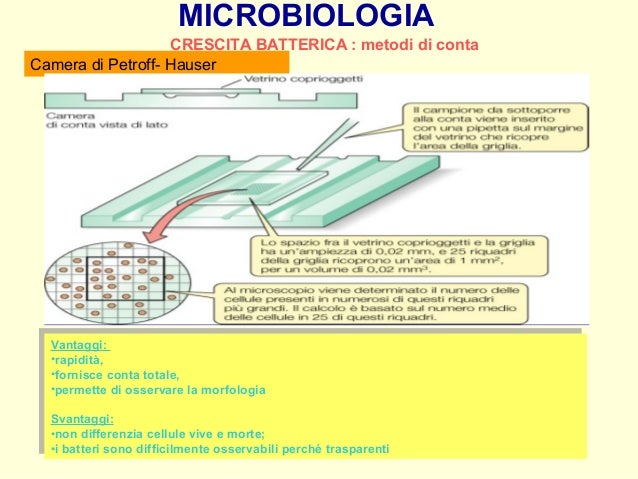 Metodi di conta batterica