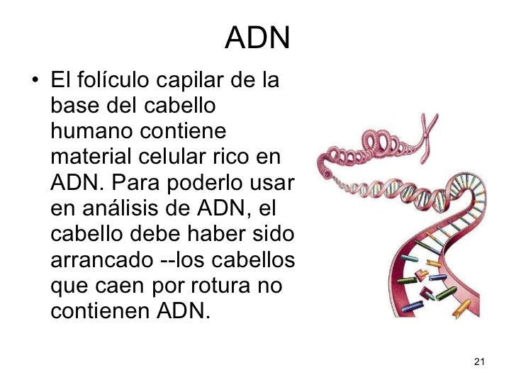 Las vitaminas contra la caída de los cabello con el precio