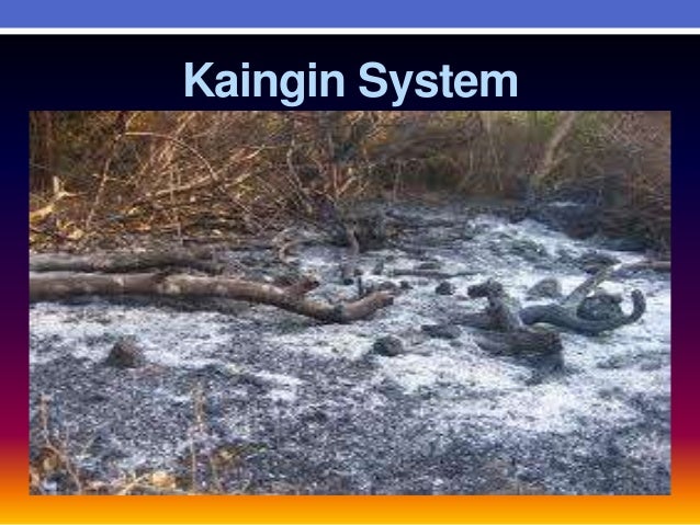 cause and effect of kaingin system The cause and effect of heart rate in relation to the nervous system can be varied when the heart rate is low, the nervous system is limited in terms of blood supply and this may cause seizures answered. cause and effect of kaingin system The cause and effect of heart rate in relation to the nervous system can be varied when the heart rate is low, the nervous system is limited in terms of blood supply and this may cause seizures answered.