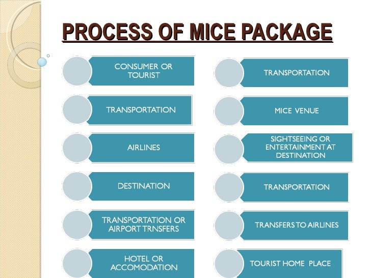 Mice Tourism ppt