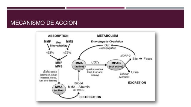 Las preguntas al tema la narcomanía y el alcoholismo