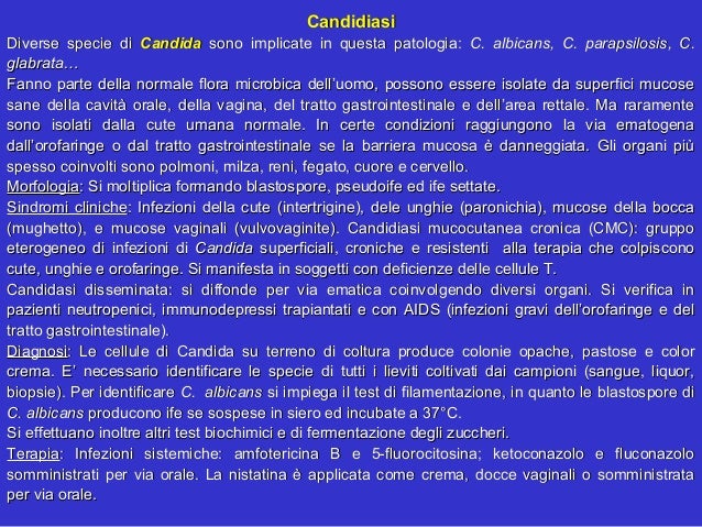 Trasferimento con Elena Malysheva su un fungo su unghie