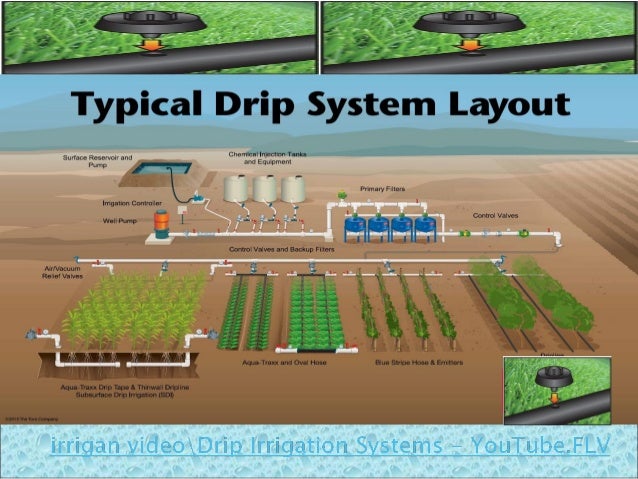 Micro Irrigation For Enhancing Water Productivity In Field How To Set Up Drip Irrigation System For Vegetable Garden