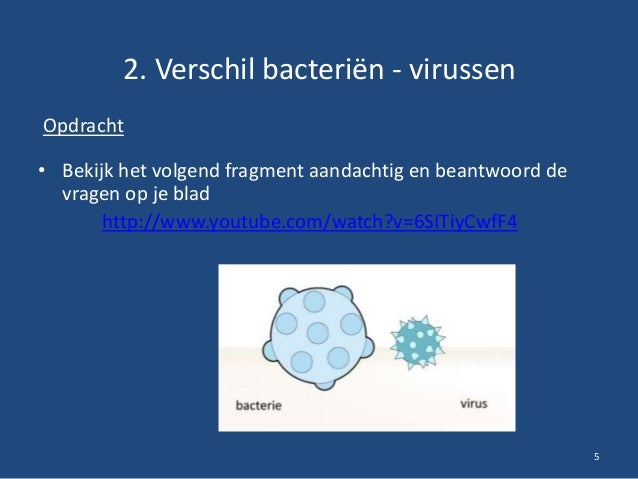Micro organismen 1. Bacteriën