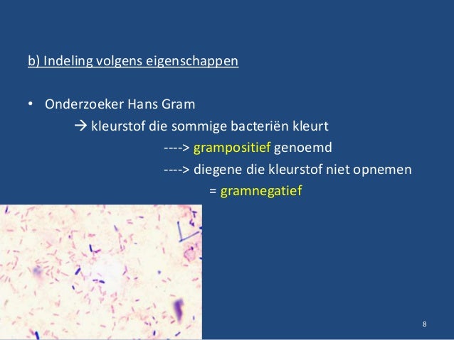 Micro organismen 1. Bacteriën
