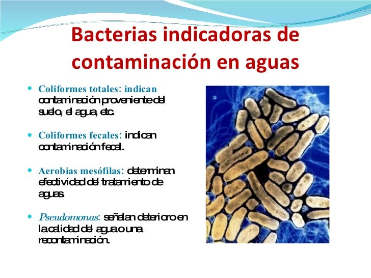 Microbiología del agua