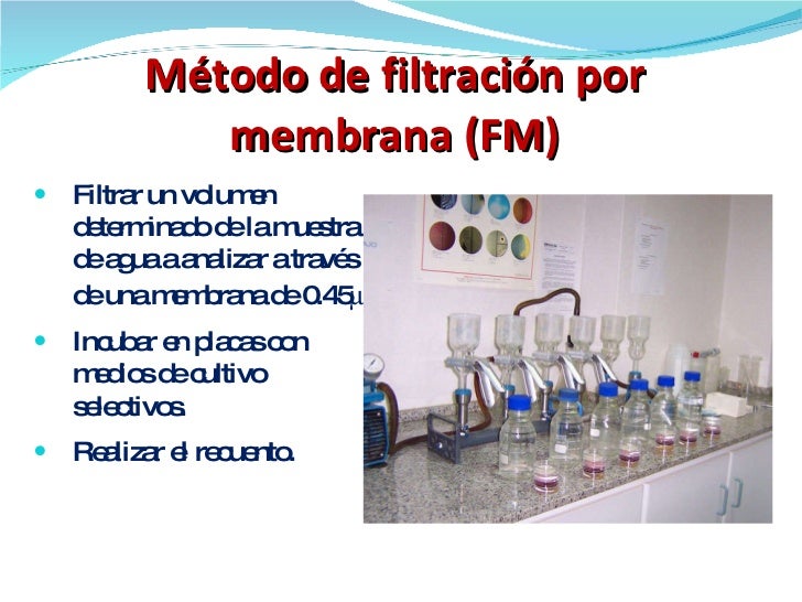 Microbiología del agua
