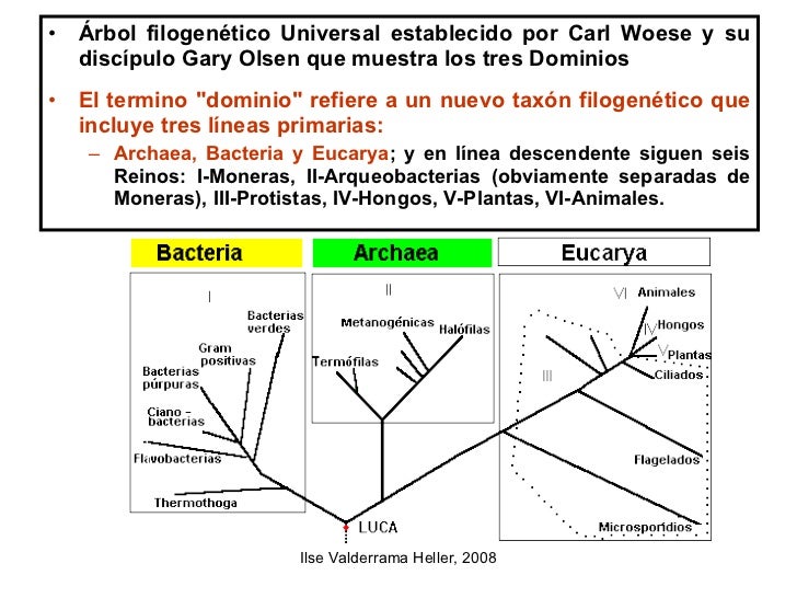 microbiologia generalidades
