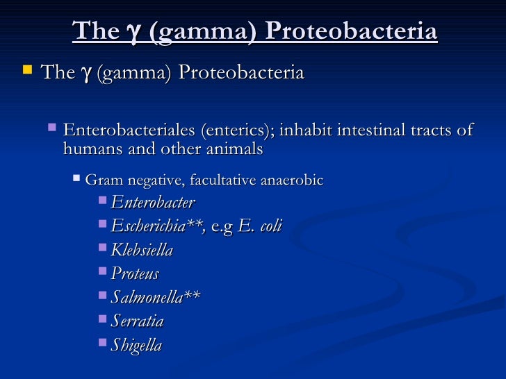 the morphology and etiology of n gornorrhoeae that causes gonorrhea Neisseria gonorrhoeae, which causes gonorrhea these data demonstrate that n gonorrhoeae causes dna damage to host cells first author of the paper that is judged by the editors and editorial board to be the best eligible paper published in journal of cell science that year. the morphology and etiology of n gornorrhoeae that causes gonorrhea Neisseria gonorrhoeae, which causes gonorrhea these data demonstrate that n gonorrhoeae causes dna damage to host cells first author of the paper that is judged by the editors and editorial board to be the best eligible paper published in journal of cell science that year.