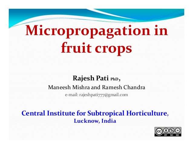 thesis on micropropagation of banana thesis on micropropagation of banana