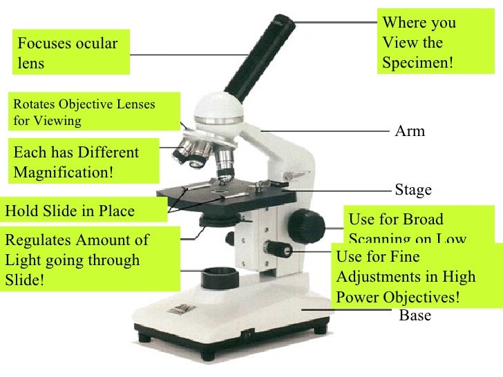 Microscopebasics 1