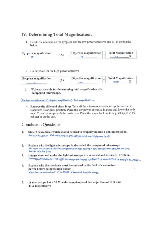 long lab report blackworm Activity 5 - nicotine blackworm lab groups should report to the class be sure to have adequate copies of the lab instructions from the blackworm lab packet. long lab report blackworm Activity 5 - nicotine blackworm lab groups should report to the class be sure to have adequate copies of the lab instructions from the blackworm lab packet.