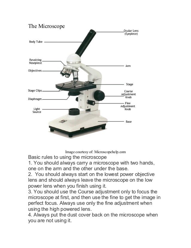 Microscope labeled diagram