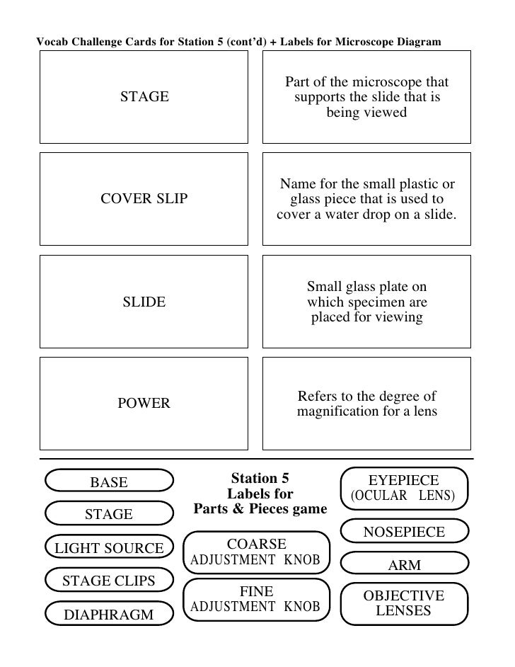 Microscope Mania Micro Review Act
