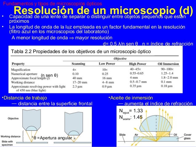 MICROSCOPÍA Y TINCIÓN