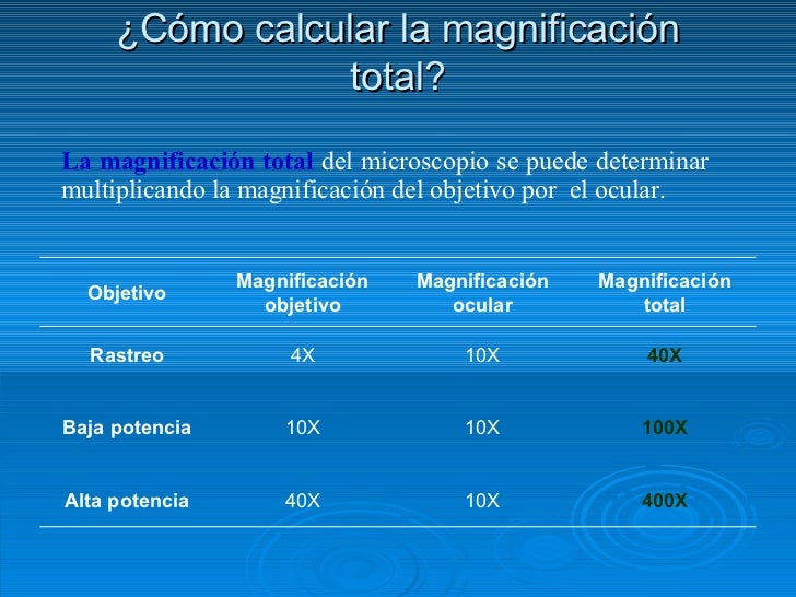 Microscopio