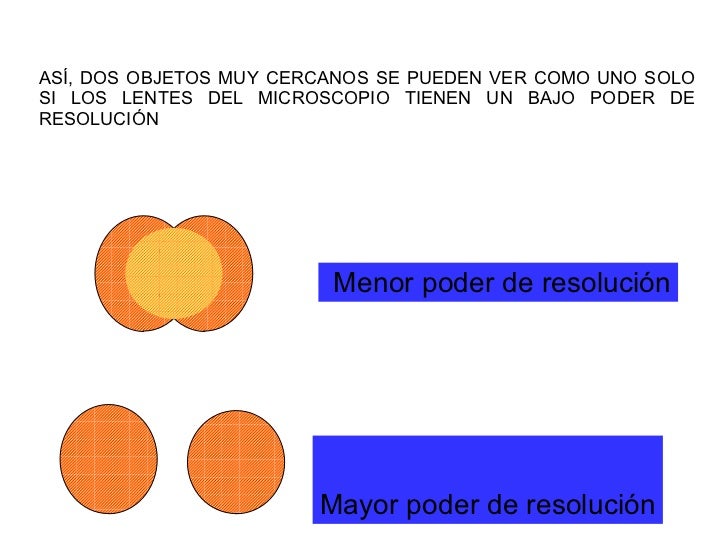 M Icroscopio Optico